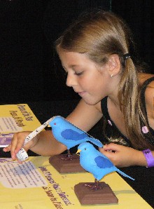 A young visitor measures a bird to examine differences within species in a prototype for New York Hall of Science’s Charlie and Kiwi’s Evolutionary Adventure exhibition, scheduled to open in 2010.