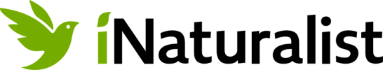 logo-iNaturalist